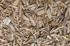 biomass boilers Ridleywood